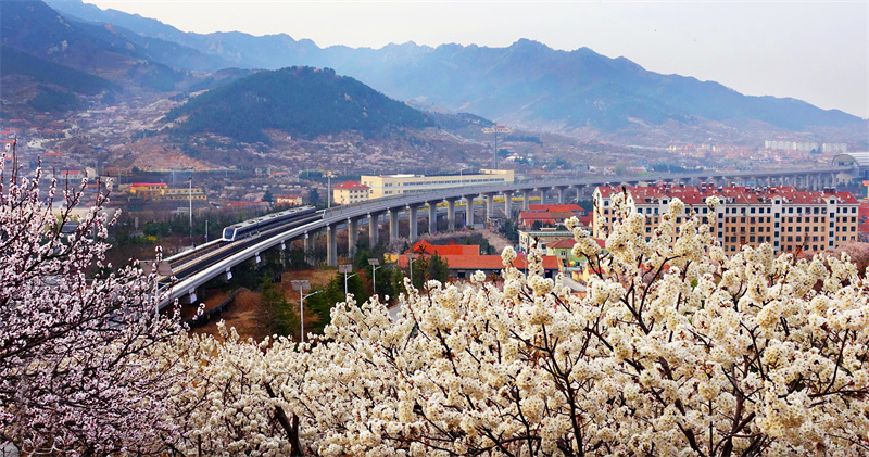 踔厲奮發(fā)奔未來(lái) —嶗山區(qū)推進(jìn)經(jīng)濟(jì)社會(huì)高質(zhì)量發(fā)展紀(jì)實(shí)
