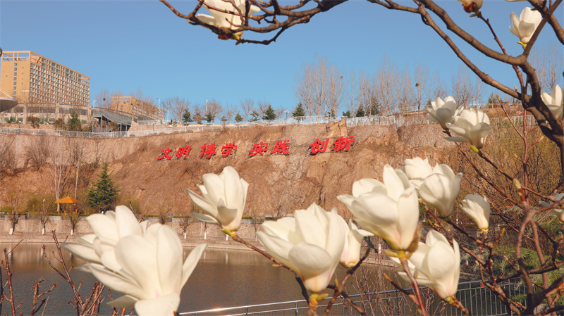 “凝聚精神的力量”恒星學(xué)院文化系列報(bào)道十九：大學(xué)校訓(xùn)