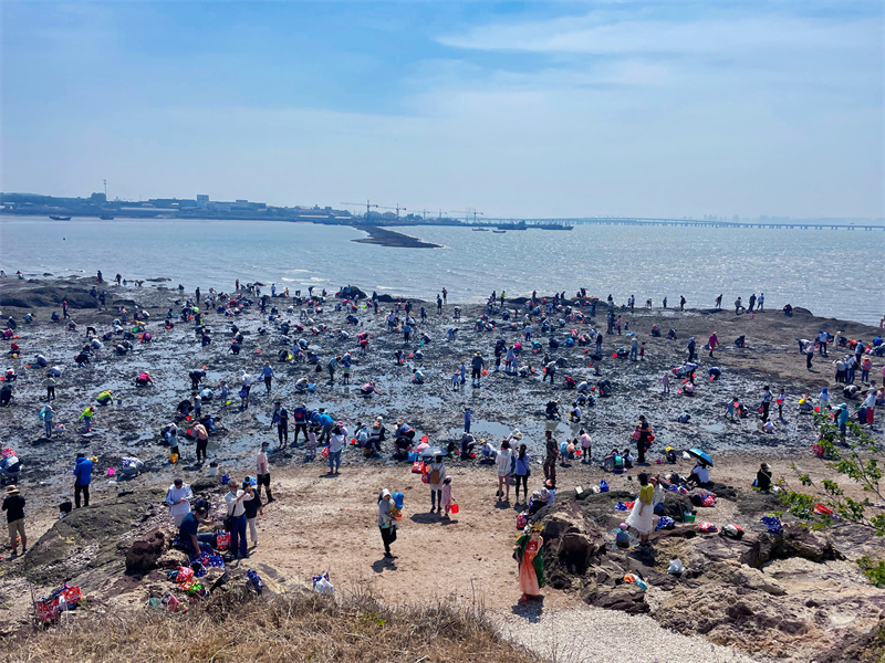 青島城陽紅島蛤蜊節(jié)啟動(dòng)全域旅游序幕