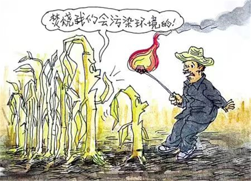 秸稈禁燒---致萊西市水集街道居民朋友的一封信