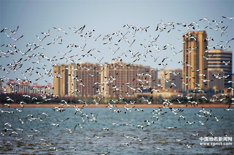 再添“國字號招牌”！青島市城陽區(qū)獲評生態(tài)文明建設(shè)示范區(qū)